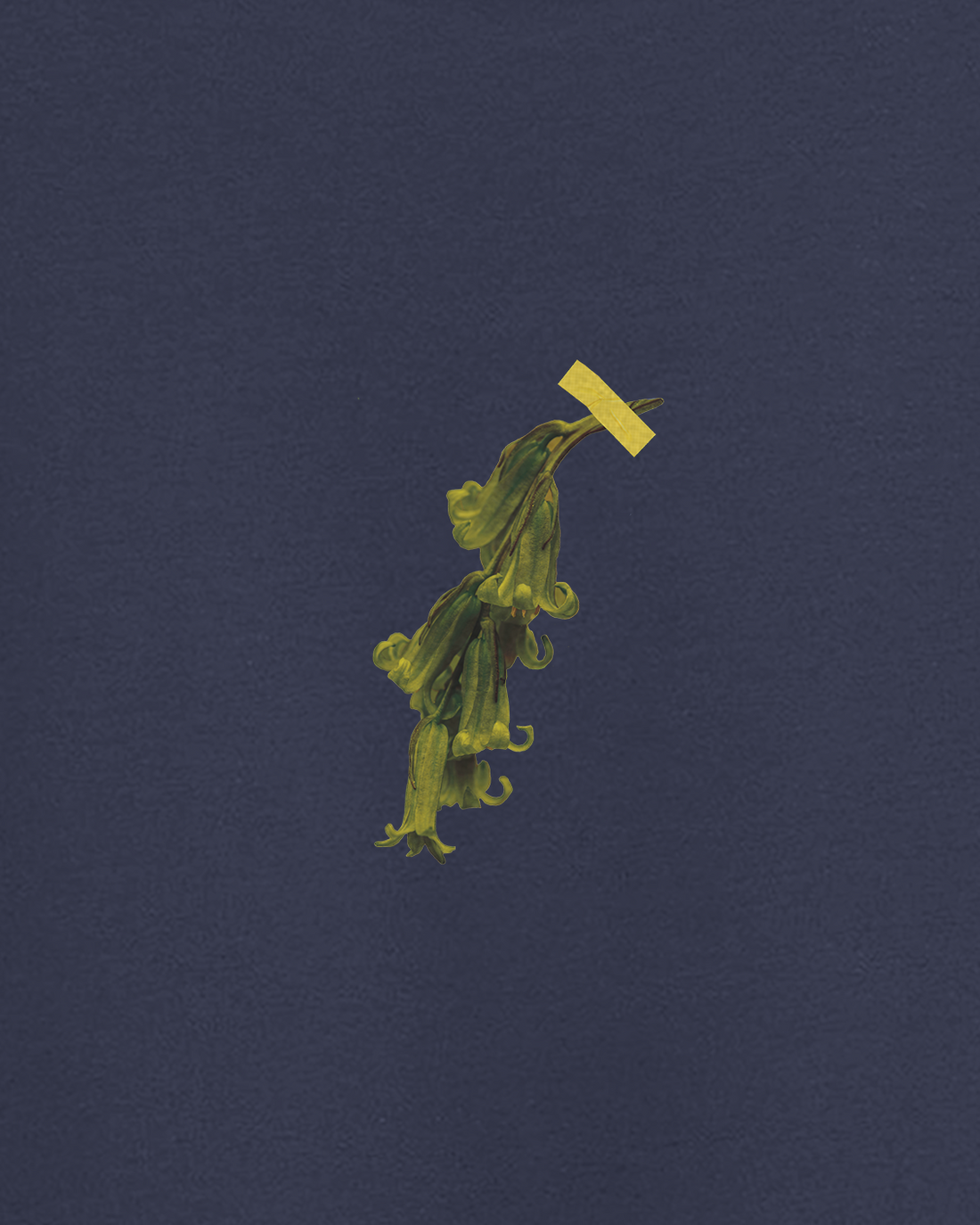 Wilted