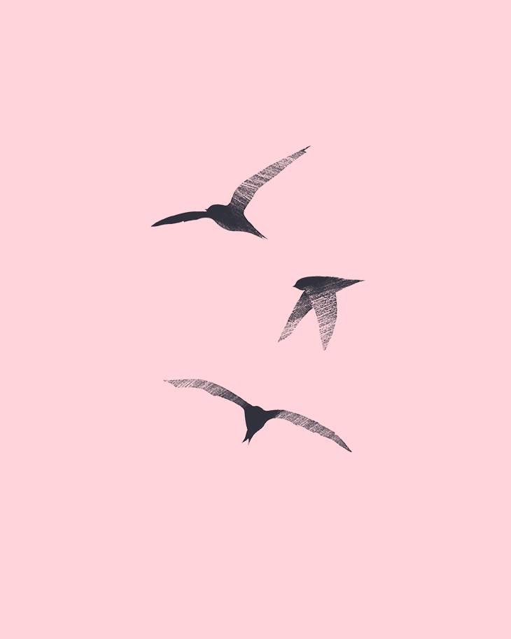 Flight